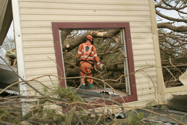 Best Emergency Tree Removal  in Marianne, PA